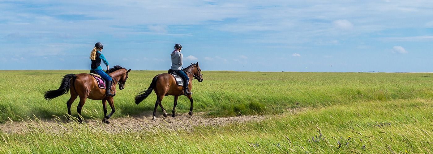 ATHLEISURE Cashmere Pullover beim Reiten